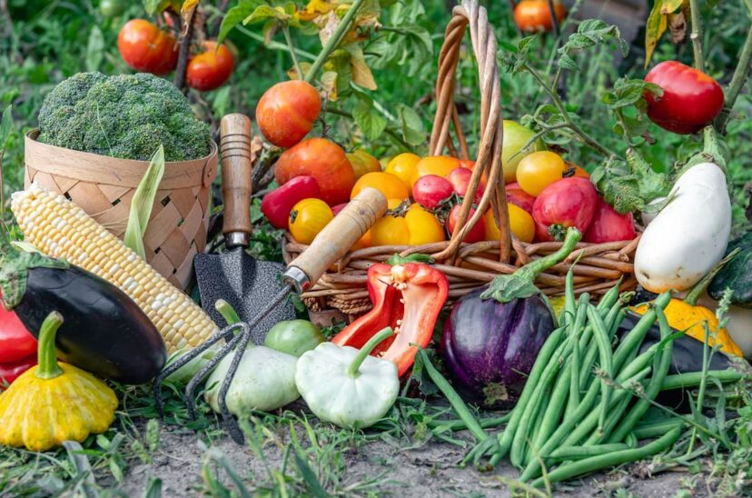 Comer limpio en México: volver a la cocina de siempre, pero con conciencia de ahora